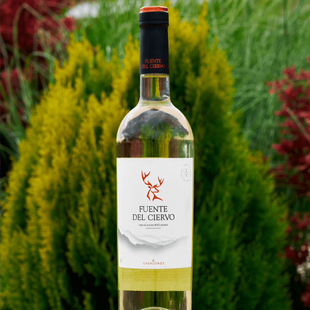 Fuente Del Ciervo Blanco