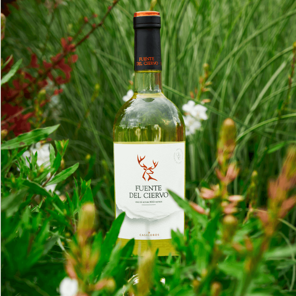 Fuente Del Ciervo Blanco